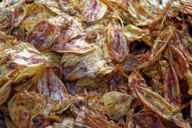 Bangkok, Tayland Tayland sokak pazarında Satılık deniz ürünleri kurutulmuş