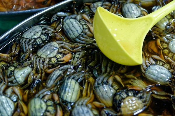 Verse Krabben Ijs Koop Een Thailand Street Market — Stockfoto