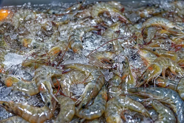 Camarão Fresco Venda Mercado Peixe Comida Tailandesa Bangkok Tailândia Central — Fotografia de Stock