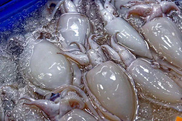 Tintenfische Aus Nächster Nähe Auf Einem Street Food Markt Bangkok — Stockfoto