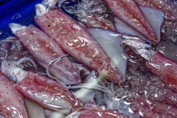 Squid close-up in street food market in Bangkok - Thailand. Fresh seafood in outdoor fish market