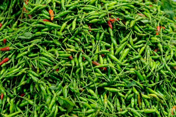 Peperoncini Verdi Chile Serrano Sierra Chilli Venduti Bangkok Thailandia Mercato — Foto Stock