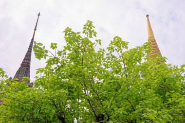 Tarihi Budist tapınağı Wat Phra Kaew 'daki Kraliyet Panteonu ve merkez Bangkok Tayland' daki Büyük Saray.