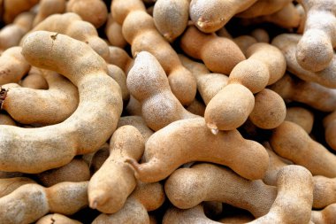Bir yığın olgun Tamarind meyvesi, Tayland 'da tropik lezzetli sağlıklı meyveler.
