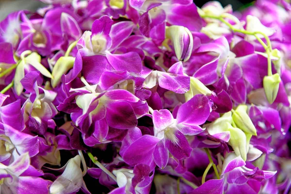 Tasche Mit Liebhaber Oder Kleeblatt Blumen Zur Herstellung Traditioneller Blumengirlanden — Stockfoto