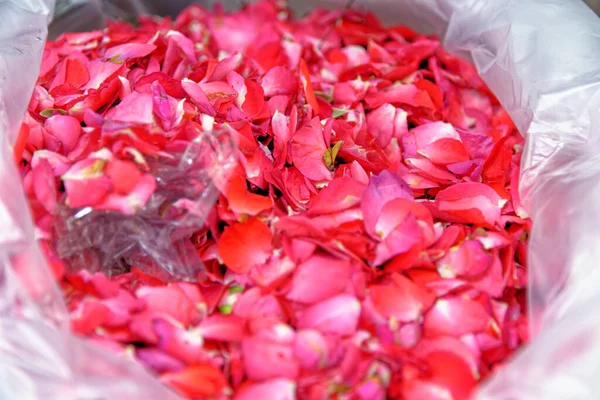 花市場でピンクのバラの花びらがいっぱいのビニール袋 バンコク — ストック写真