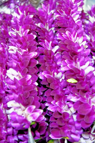 Marché Aux Fleurs Thaïlande Bangkok Arrangements Floraux Faits Main Utilisés — Photo