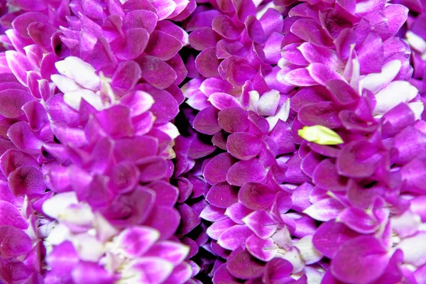 Blomstermarknaden Thailand Bangkok Handgjorda Blomsterarrangemang Som Används Som Offer Buddisttempel — Stockfoto