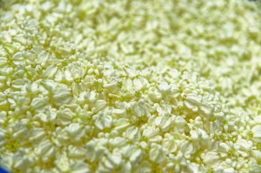 Bangkok 'taki Pak Khlong Talat çiçek pazarında geleneksel çiçek çelengi sunmak için bir çanta dolusu sevgili ya da folyo çiçeği. Tayland