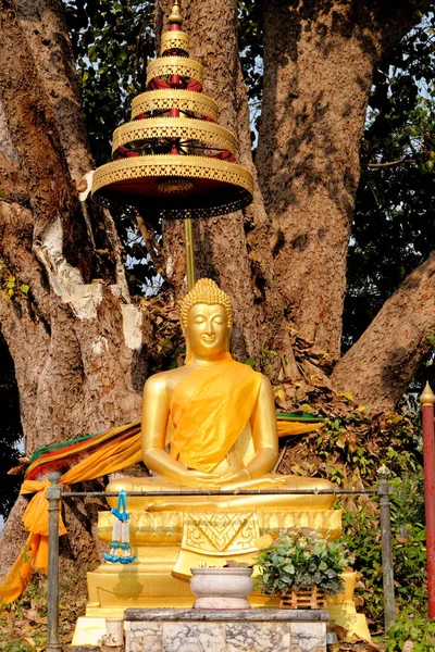 Posągi Buddy Wat Niwet Thammaprawat Świątyni Przylegającej Pałacu Bang Bang — Zdjęcie stockowe