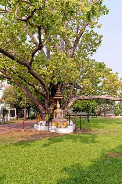 Αγάλματα Του Βούδα Στο Wat Niwet Thammaprawat Ένας Ναός Που — Φωτογραφία Αρχείου