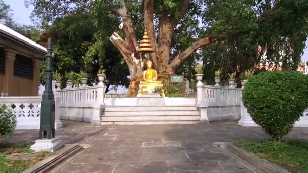 Wat Niwet Thammaprawat Ratchaworawihan Templi Buddisti Thailandesi Quanto Sua Architettura — Video Stock