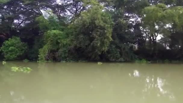 Kadim Şehir Ayutthaya Tayland Chao Phraya Nehri Kıyısında Uzun Kuyruklu — Stok video