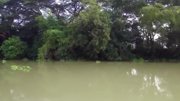 Cruzeiro Barco Cauda Longa Pelo Rio Chao Phraya Cidade Antiga — Vídeo de Stock