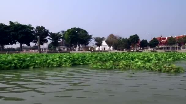 Κρουαζιέρα Βάρκα Από Τον Ποταμό Chao Phraya Στην Αρχαία Πόλη — Αρχείο Βίντεο