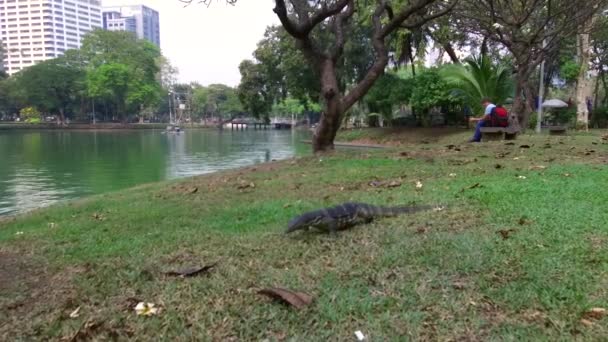 Lumphini Park Także Lumpiniorlumpinee Dzielnicy Pathum Wan Bangkok Tajlandia Stycznia — Wideo stockowe