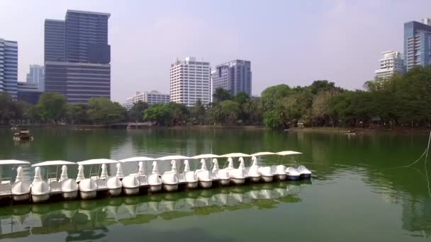 Lumphini Park Ook Lumpiniorlumpinee District Pathum Wan Bangkok Thailand Januari — Stockvideo
