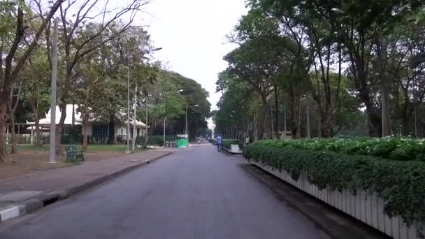 Lumphini Park Anchelumpiniorlumpinee Nel Distretto Pathum Wan Bangkok Thailandia Gennaio — Video Stock