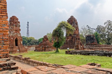 Eski Budist tapınağı Wat Mahathat, Sukhothai, UNESCO Dünya Mirası Alanı, Tayland, Asya - 21 Ocak 2020