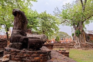 Eski Budist tapınağı Wat Mahathat, Sukhothai, UNESCO Dünya Mirası Alanı, Tayland, Asya - 21 Ocak 2020