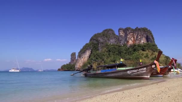 Koh Phak Bia島 香港島の後ろに位置する小さな島 透き通った海の水 快適で日陰の雰囲気に恵まれています 2020年1月24日 — ストック動画