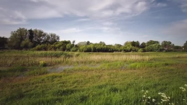 Caminar Largo Del Río Kennet Kennet Avon Canal Reading Berkshire — Vídeo de stock