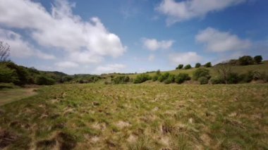 Somerset, İngiltere 'deki Cheddar Gorge manzarası - Mendip Hills, Cheddar, Somerset Birleşik Krallık' ta bir kireçtaşı vadisi - 25 Mayıs 2020