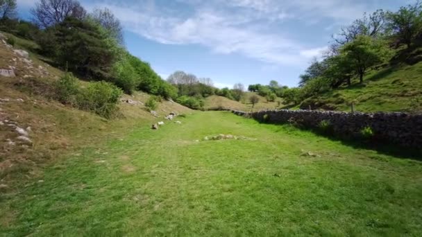 Widok Cheddar Gorge Somerset Anglia Wąwóz Wapienny Mendip Hills Cheddar — Wideo stockowe