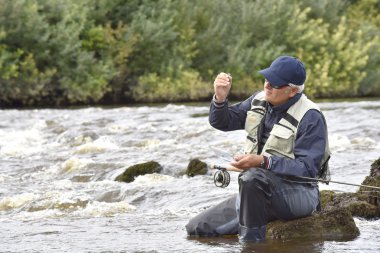 Sinek balıkçı seçerek sinek