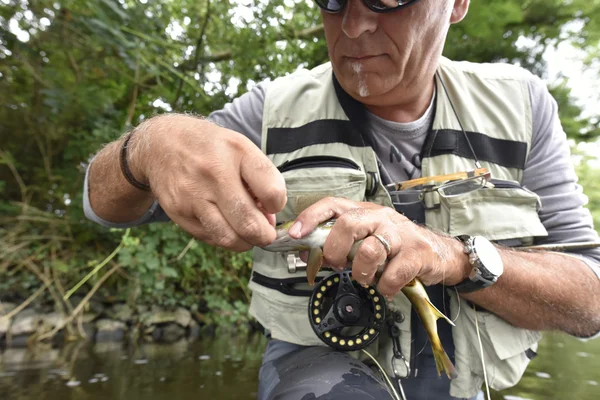 Fly-fisherman taking hook out — Stock Photo, Image