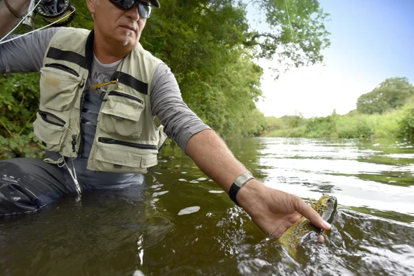 Fly-fisherman visvangst forel — Stockfoto