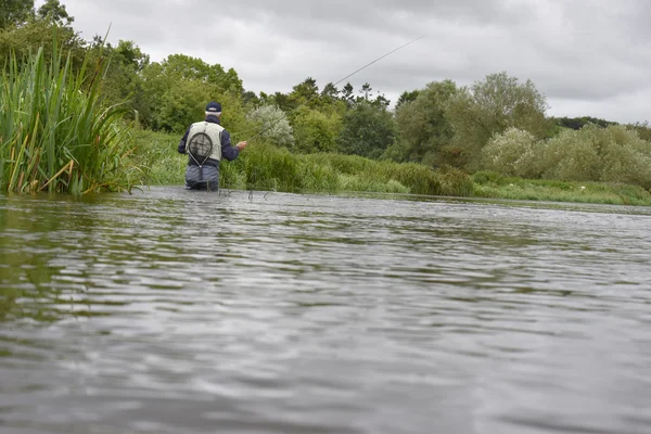 Pesca con mosca en el río —  Fotos de Stock