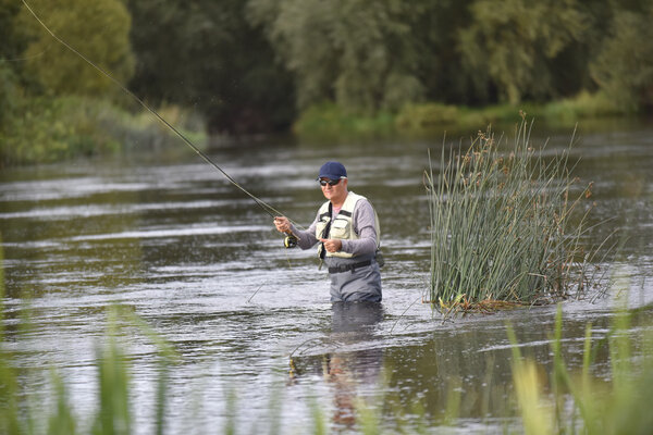  fly-fisherman fishing in river