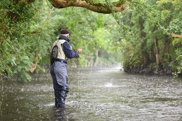 Pescatore della mosca che cattura la trota nel fiume — Foto Stock