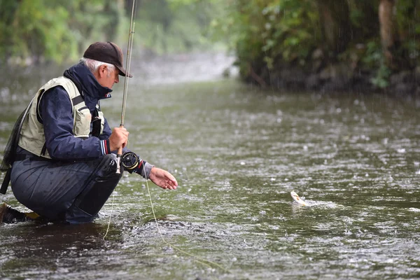 Pêcheur à la mouche attrapant la truite dans la rivière — Photo