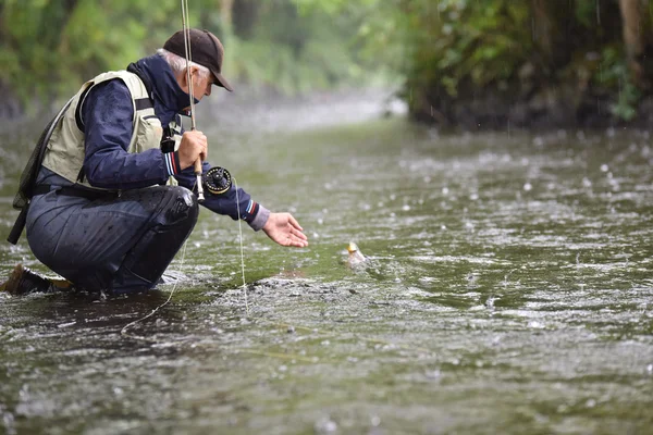 Pescatore della mosca che cattura la trota nel fiume — Foto Stock
