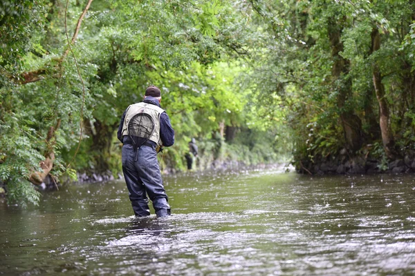 Pesca con mosca en el río —  Fotos de Stock