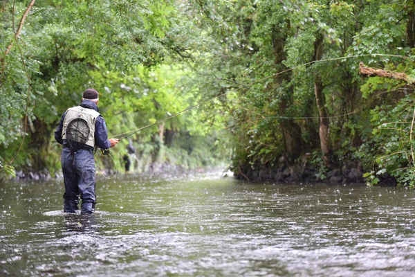 Pesca con mosca en el río —  Fotos de Stock