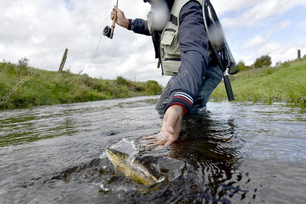 Fly-fisherman catching  trout