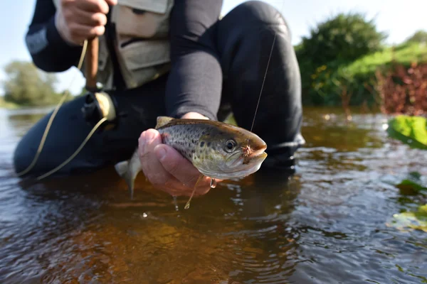 Fiskare fånga havsöring — Stockfoto