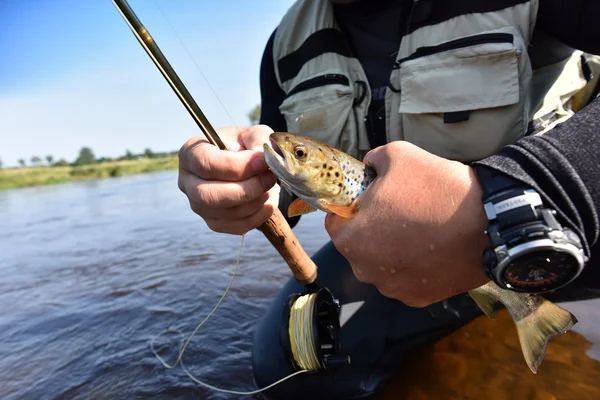 Pêcheur capture truite de mer — Photo