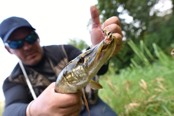 Snoek gevangen door visser — Stockfoto