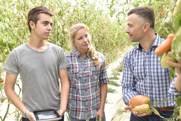 Students learning about organic greenhouse — Stock Photo, Image