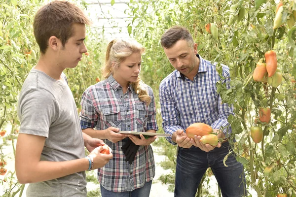 Students learning about organic greenhouse — Stock Photo, Image