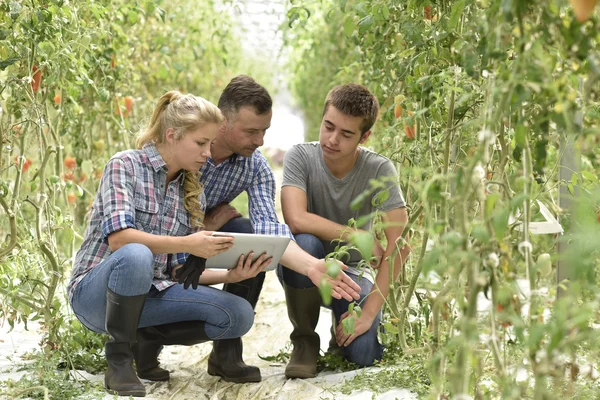 Students learning about organic greenhouse — Stock Photo, Image