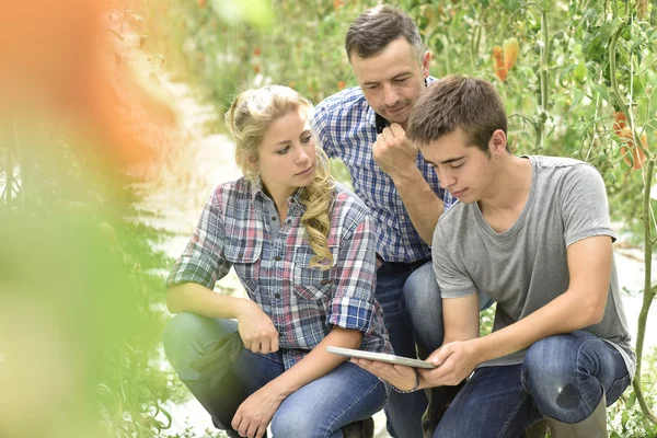 Students learning about organic greenhouse — Stock Photo, Image