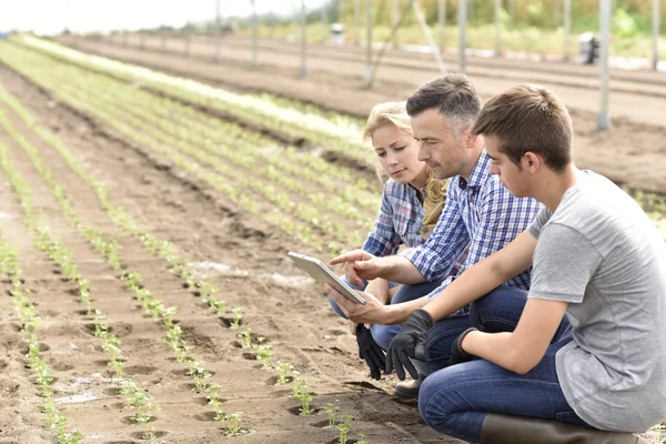 Studenten leren over biologische broeikasgassen — Stockfoto