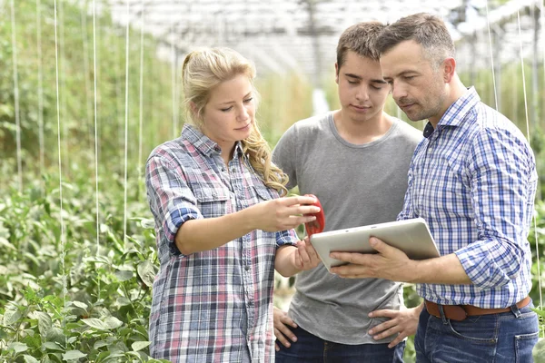 Persone che frequentano l'apprendistato in serra — Foto Stock