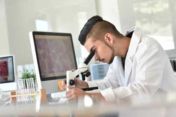 Student in biology using microscope — Stock Photo, Image