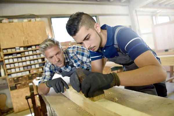 Carpenter with apprentice in training period